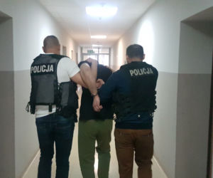 Zielona Góra. Policjanci zlikwidowali dziuplę. 3 osoby zatrzymane