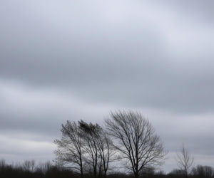 Niedziela w Zgierzu pod chmurką. Czy słońce ma jeszcze coś do powiedzenia 07.12.2025?