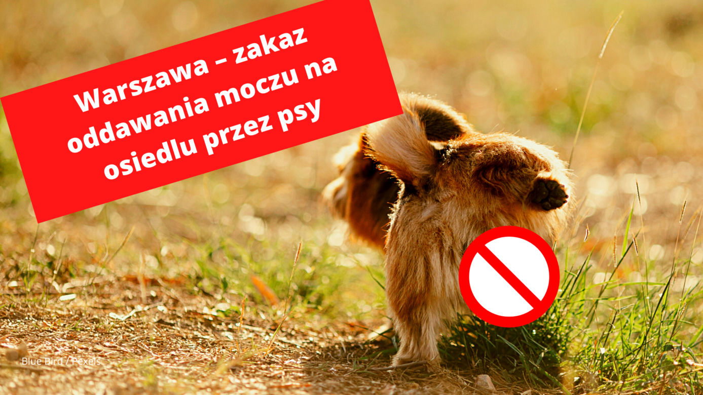 Warszawa