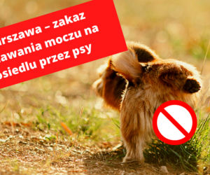 Warszawa