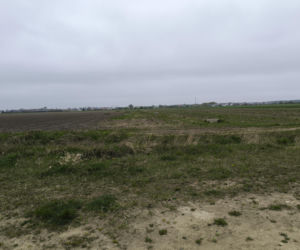 Łącznik Rondo Antoniny Gronowo