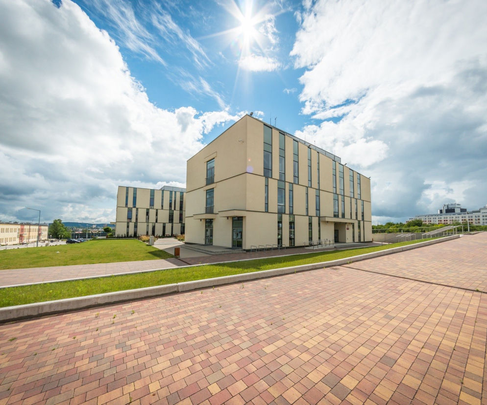 Studia na UJK chętnie wybierane przez młodych kielczan
