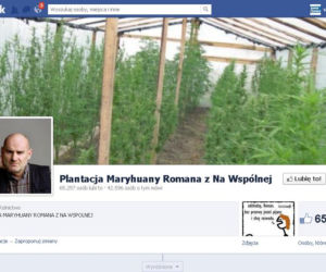 Plantacja marihuany Romana z Na Wspólnej na Facebooku