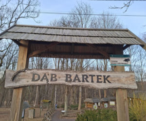 Zobacz jak zmienia się otoczenie Dębu Bartek w Zagnańsku