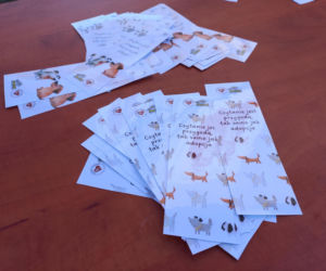 Bieg + 4 Łapy za nami. Wyjątkowy dzień w schronisku w Henrykowie koło Leszna