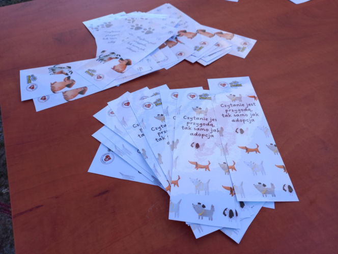 "Bieg + 4 Łapy" za nami. Wyjątkowy dzień w schronisku w Henrykowie koło Leszna