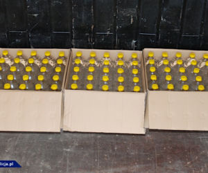 Warmińsko-mazurskie: Tysiące litrów alkoholu pomogą w walce z koronawirusem! NIE UWIERZYSZ, skąd pochodzą!