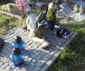 8 Cmentarz dla zwierząt w Łodzi