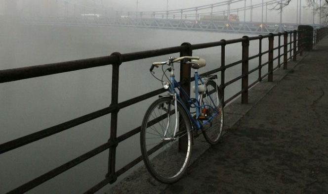 Rower