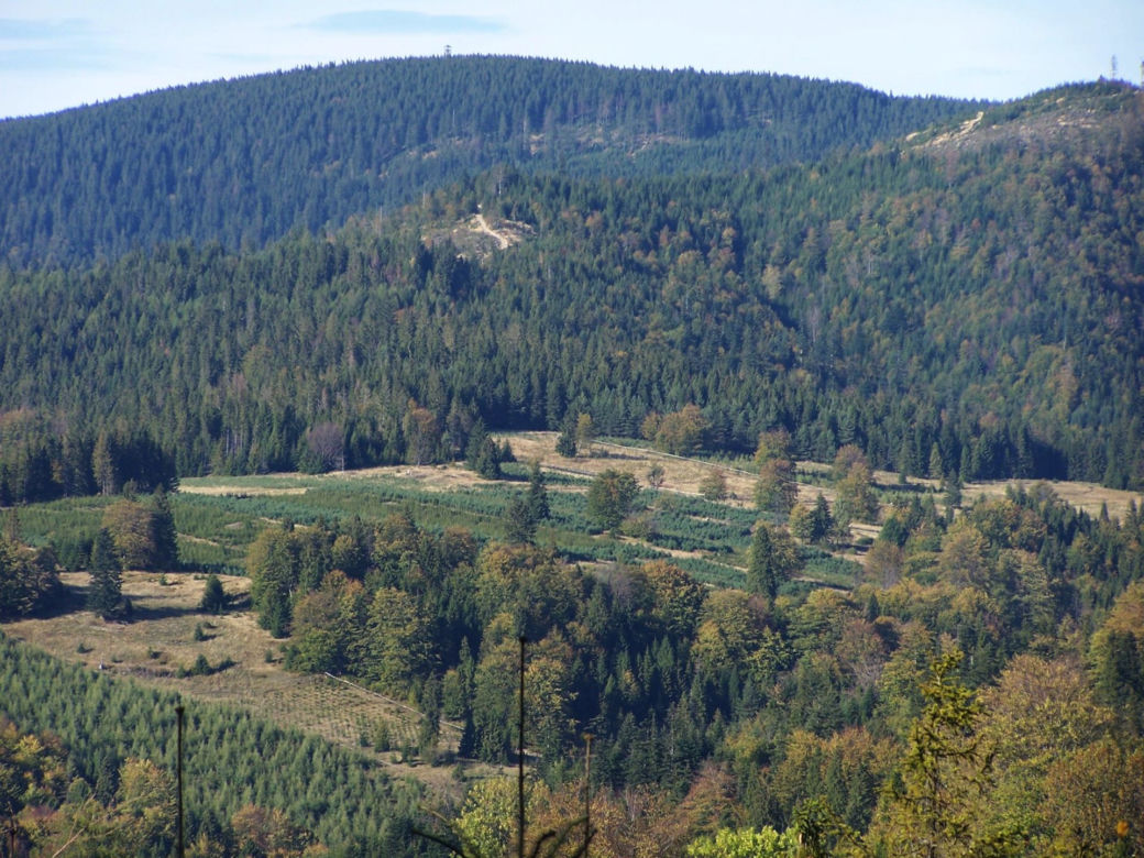 7. Radziejowa