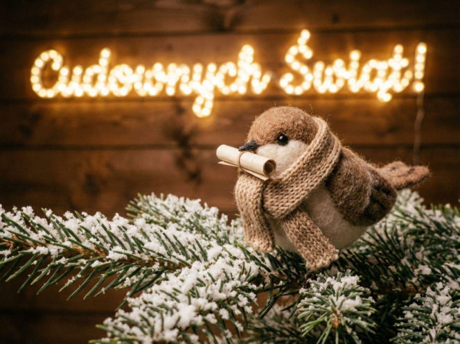 Kartki z życzeniami na Boże Narodzenie 2025 - darmowe wzory do pobrania