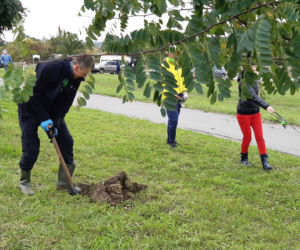 „W zielone gramy” - akcja sadzenia roślin