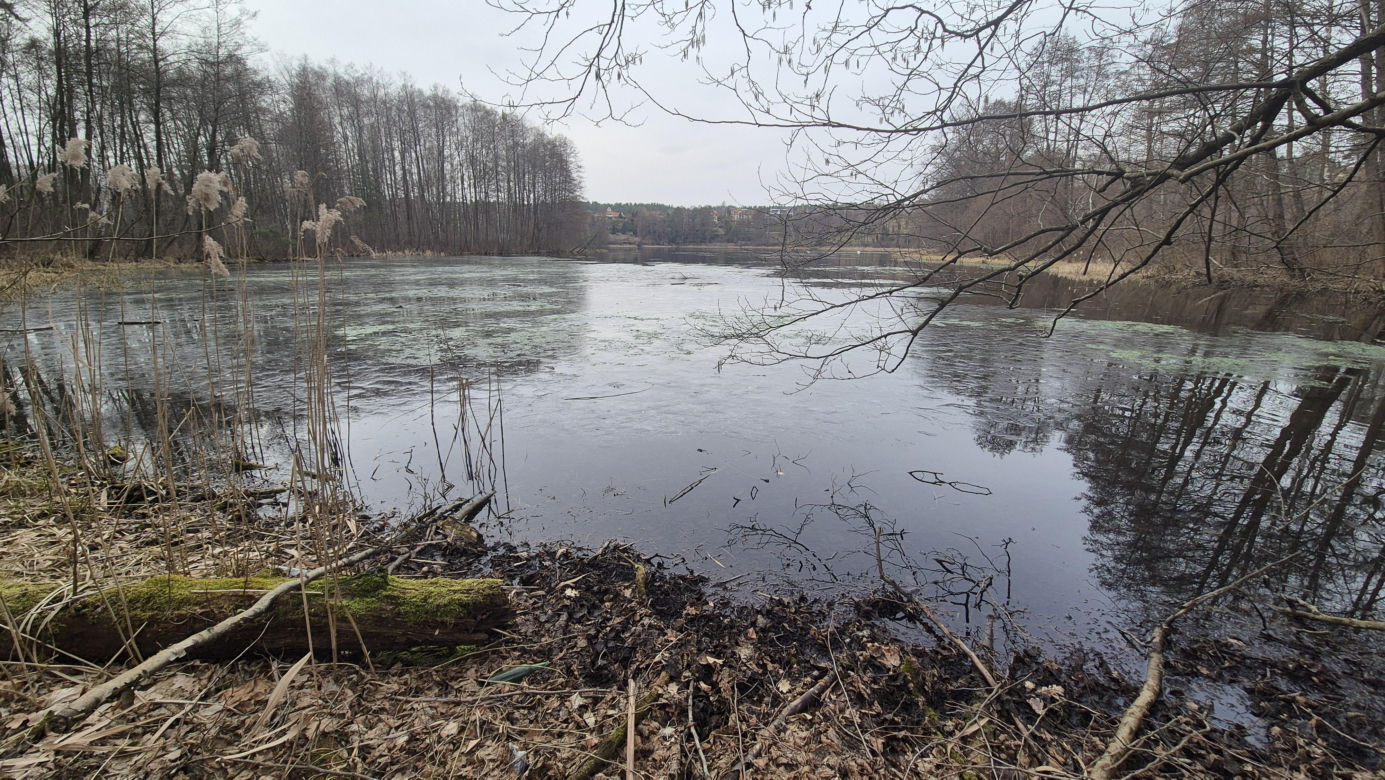 To jedno z najmniejszych jezior w Olsztynie. Prawie nikt o nim nie słyszał, a widoki zachwycają