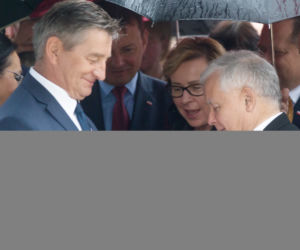 Kaczyński dostał kota