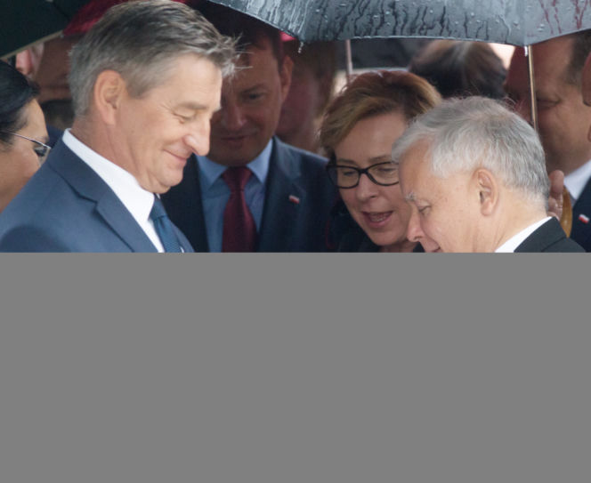 Kaczyński dostał kota