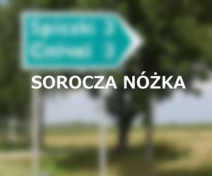 Sorocza Nóżka