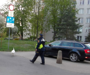 Niecodzienna eskorta strażników miejskich z Warszawy
