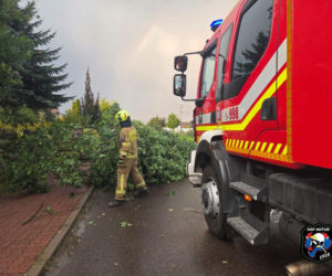 Powalone drzewa i uszkodzone dachy – obrazki po burzy w Siedlcach i powiecie siedleckim