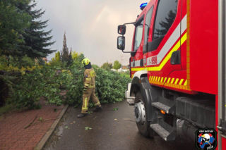 Powalone drzewa i uszkodzone dachy – obrazki po burzy w Siedlcach i powiecie siedleckim
