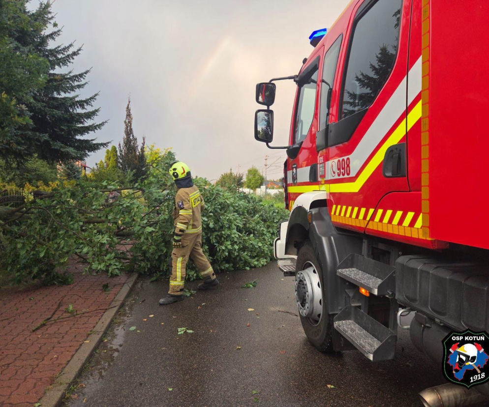 Powalone drzewa i uszkodzone dachy – obrazki po burzy w Siedlcach i powiecie siedleckim