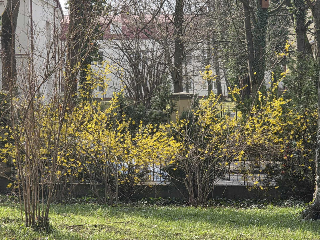Wiosna w łańcuckim parku