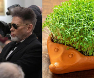 Rzeżuchy które wyglądają jak Krzysztof Rutkowski i jego legendarne fryzury