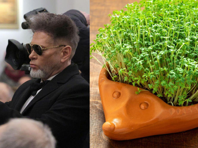 Rzeżuchy które wyglądają jak Krzysztof Rutkowski i jego legendarne fryzury