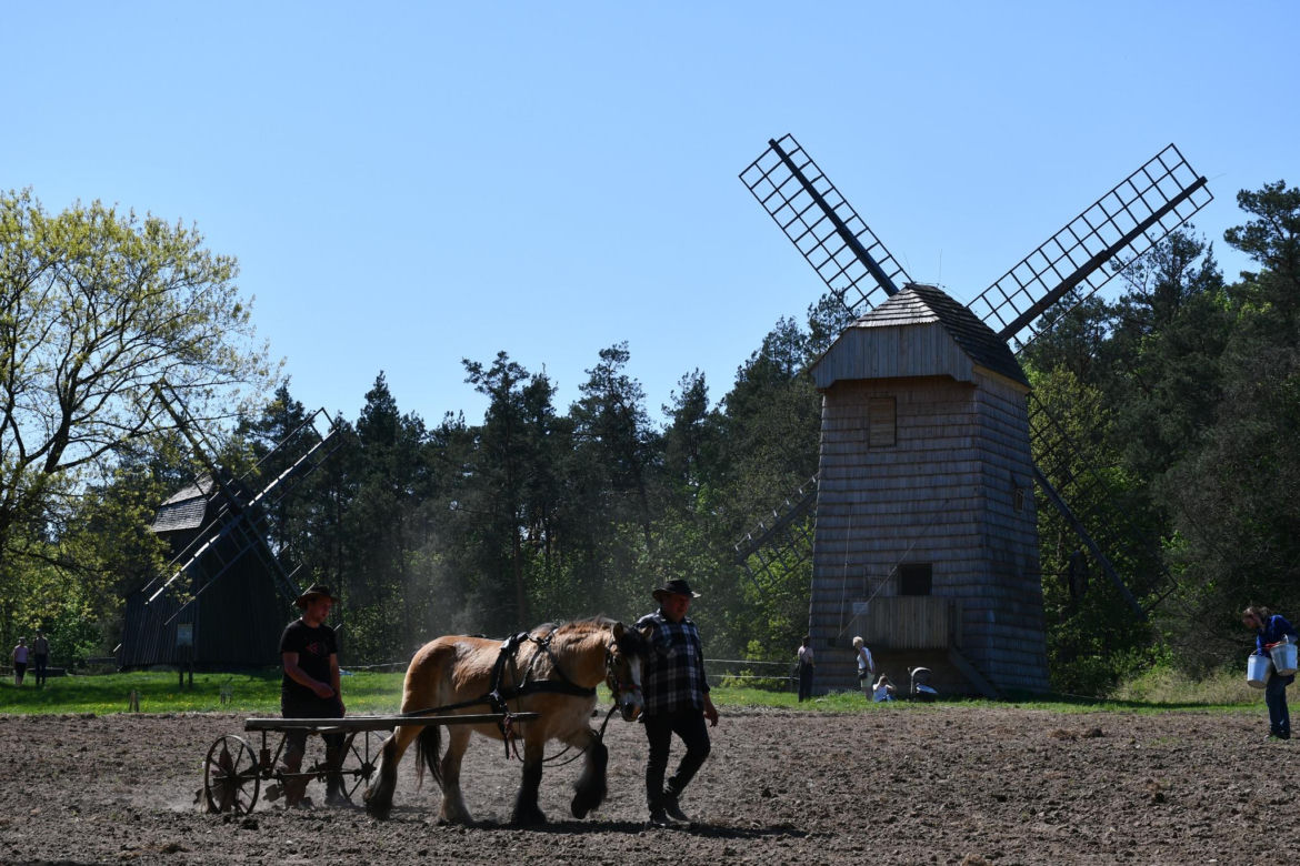 Muzeum Budownictwa Ludowego - Park Etnograficzny w Olsztynku