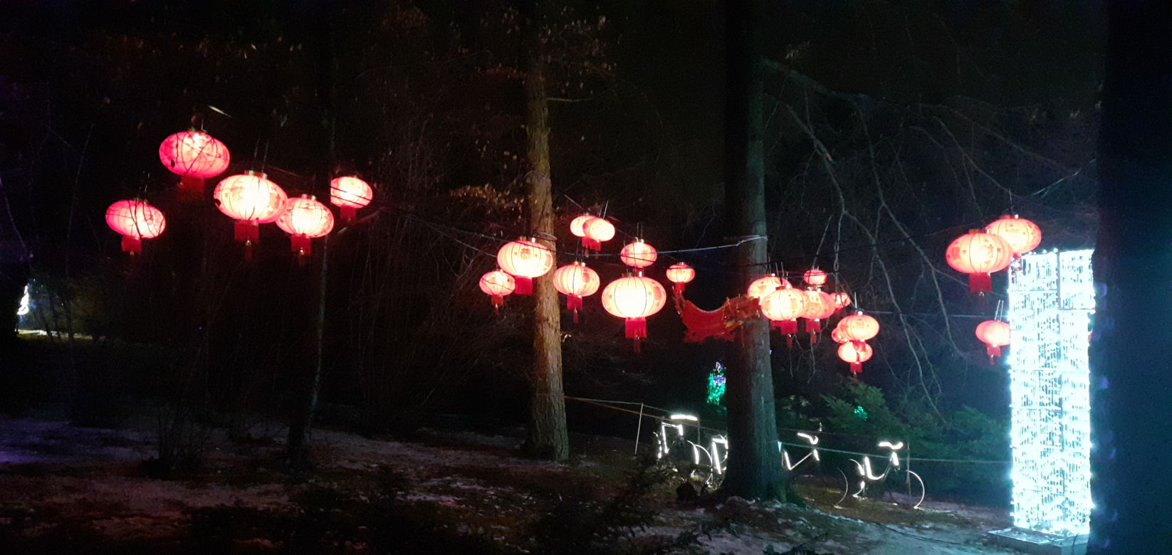 Lumina Park w Ogrodzie Botanicznym UMCS w Lublinie