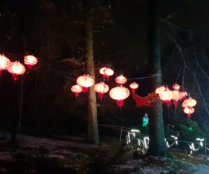 Lumina Park w Ogrodzie Botanicznym UMCS w Lublinie