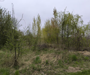 Łącznik Rondo Antoniny Gronowo