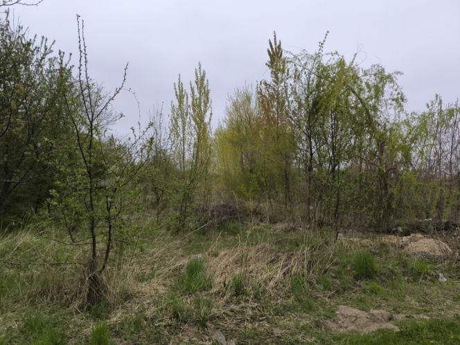 Łącznik Rondo Antoniny Gronowo