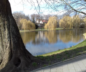Rewitalizacja Parku miejskiego w Kielcach