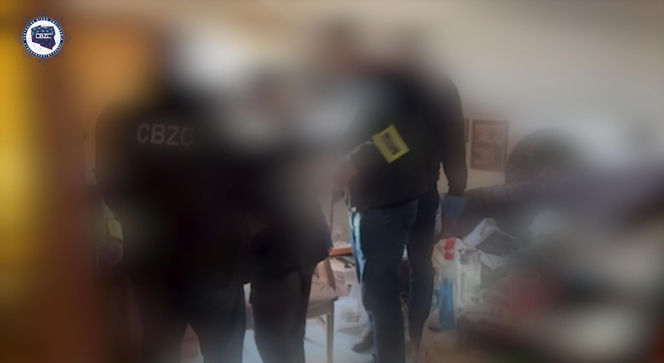 Nagrania pornograficzne miały trafić do 11-latki. Strażak ochotnik z zarzutami