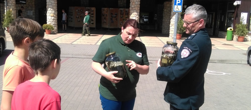 Służba Celna wykryła przemyt 2 tys. chronionych pijawek w pociągu