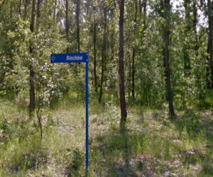 Biechów
