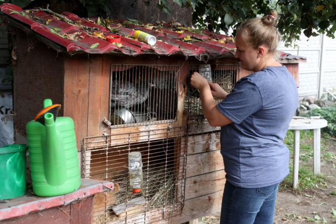 Tak żyje i pracuje Emilia Korolczuk z Rolnicy. Podlasie