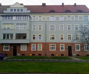 Okazałe drzewa na Turzynie poszły pod topór