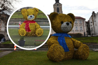 Świąteczny miś w Przemyślu wywołał burzliwą dyskusję. Poszło o kolory szalika 