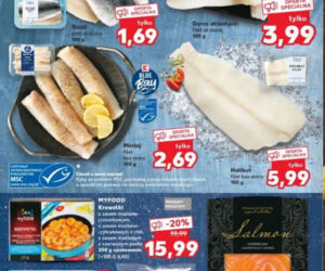 Mega promocje w Kauflandzie