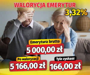 Fiszki waloryzacyjne