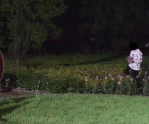 Nocne imprezowanie w Rybniku. Pijana młodzież wspinała się na pomnik, zrywała tulipany i... sikała na budynki [ZDJĘCIA]