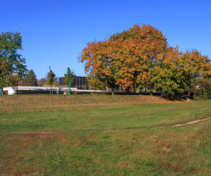 Centrum Aktywności Międzypokoleniowej na Ochocie