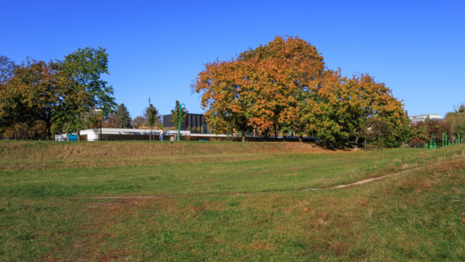 Centrum Aktywności Międzypokoleniowej na Ochocie