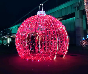 Iluminacje bożonarodzeniowe w Szczecinie