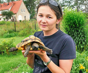 Mój żółw uciekł do kochanki