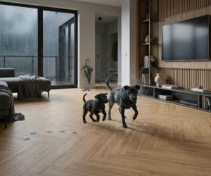 Podłogi laminowane 2026: Zobacz trendy, które odmienią Twoje mieszkanie w Radomiu