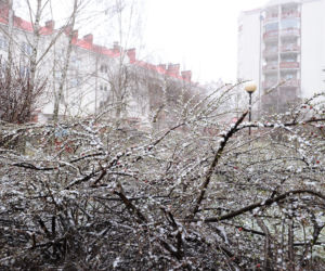 Śnieżyca nad Warszawą. Kiedy przestanie padać?
