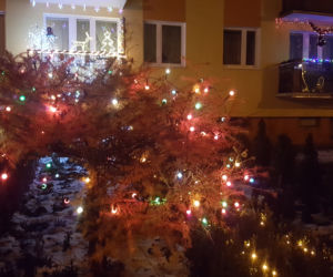 Domy i balkony w Bydgoszczy oświetlone i przystrojone