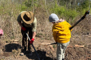 Na terenie Nadleśnictwa Siedlce w Golicach policjanci z IPA rejonu siedleckiego zasadzili nowy las